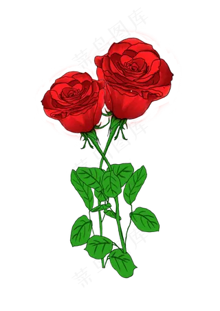 两朵玫瑰