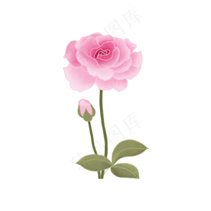 七夕节告白月季玫瑰花(2000X2000(DPI:300))psd模版下载
