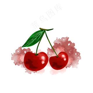两只美国水果樱桃车厘子