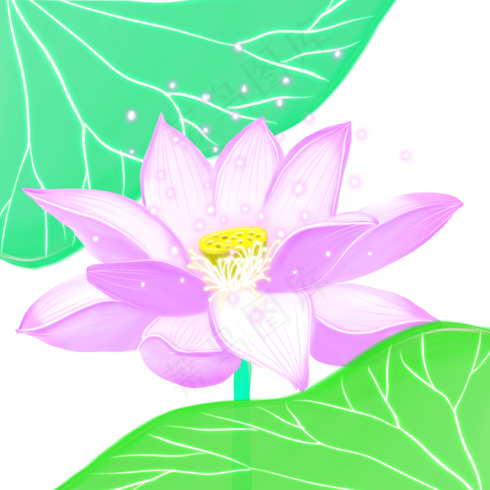 荷花荷叶荷塘景色唯美(2000X2000(DPI:300))psd模版下载