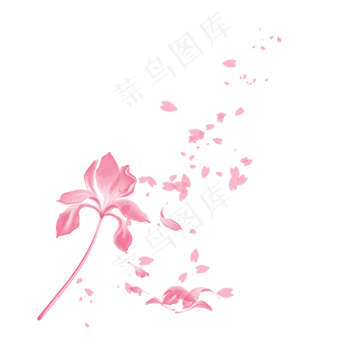 粉色花朵飘落小文艺(2000X2000(DPI:300))psd模版下载