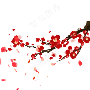 冬天梅花花瓣