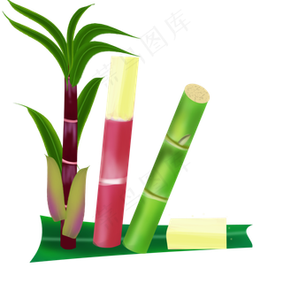 水果甘蔗实心草本三个品种