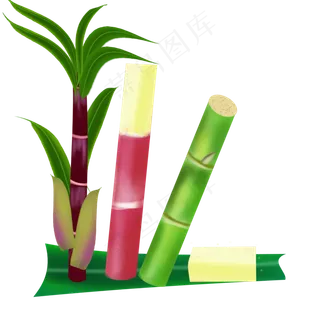 水果甘蔗实心草本三个品种