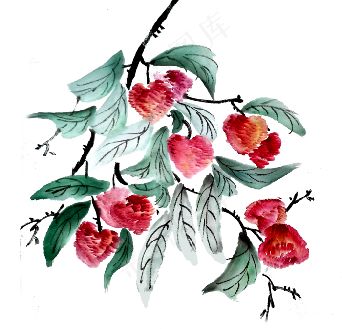 荔枝妃子笑水果水墨国画PNG