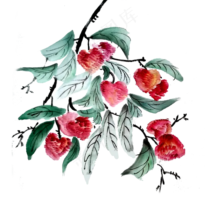 荔枝妃子笑水果水墨国画PNG(3545X5315(DPI:300))psd模版下载