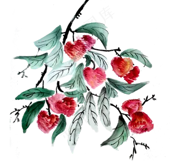 荔枝妃子笑水果水墨国画PNG