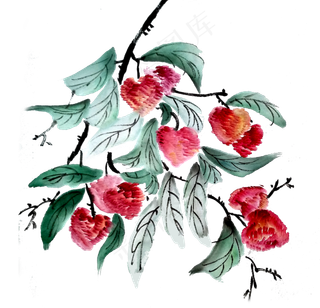 荔枝妃子笑水果水墨国画PNG