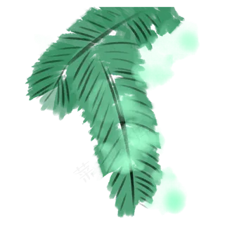 绿色的美丽芭蕉叶