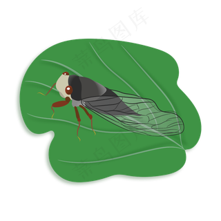 卡通手绘立秋知了设计元素