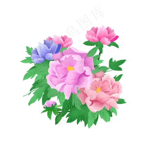 商用手绘花朵国花植物花卉绿色装