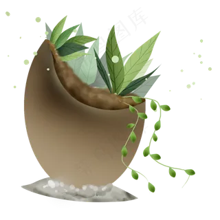 立春初春植物盆栽