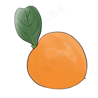 手绘水果水彩桔黄色柿子