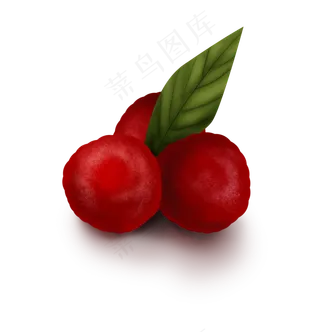 手绘夏季水果杨梅