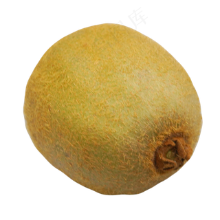 美味猕猴桃实物