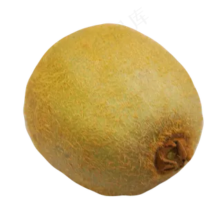 美味猕猴桃实物