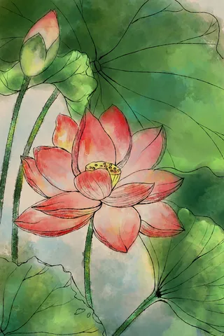 亭亭风露拥川坻，  天放娇娆岂自知？