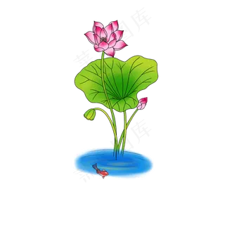 荷花荷叶仿真免扣