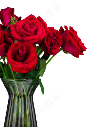 玫瑰花瓶