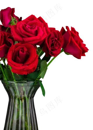 玫瑰花瓶