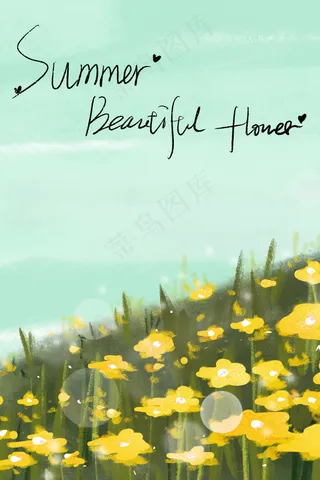 夏季盛开的黄色花朵