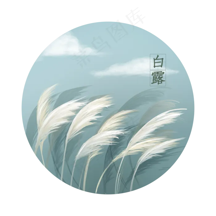 白露节气芦苇,免抠元素