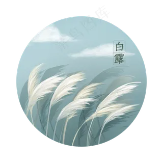 白露节气芦苇,免抠元素