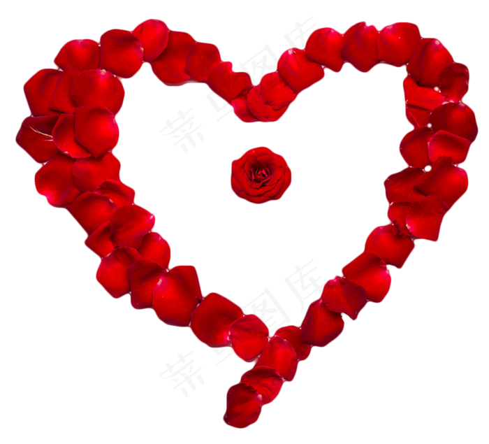 情人节红玫瑰爱心