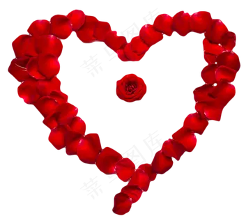 情人节红玫瑰爱心