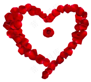 情人节红玫瑰爱心