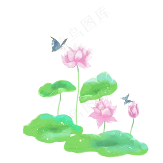 水墨水彩小清新荷花