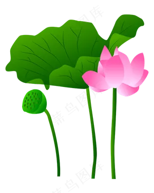 矢量卡通粉色莲花