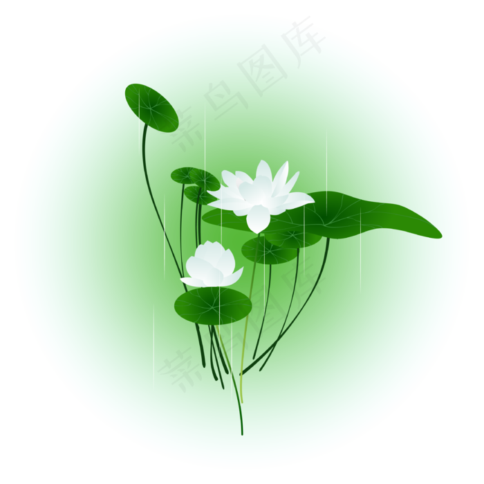 夏日荷花清新精美