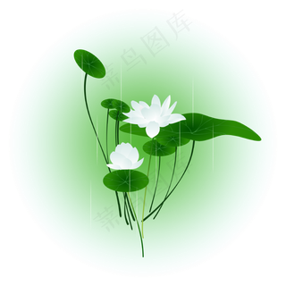 夏日荷花清新精美