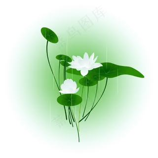 夏日荷花清新精美