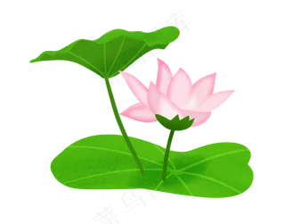 中国风粉色荷花插图