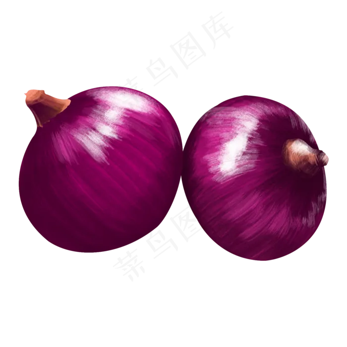 紫色洋葱蔬菜水果果蔬健康天然手,免抠元素(2000*2000px 300 dpi )psd模版下载