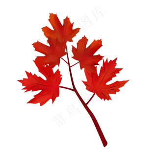 PS手绘秋叶枫叶树枝设计元素