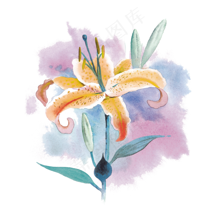 唯美橘粉冰激凌色水彩百合