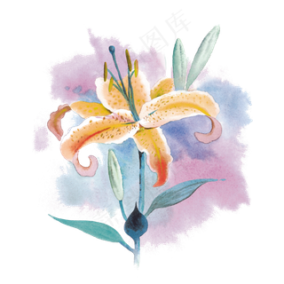 唯美橘粉冰激凌色水彩百合