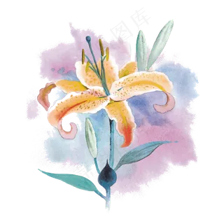 唯美橘粉冰激凌色水彩百合