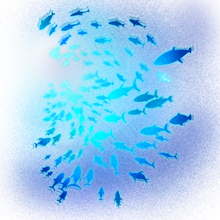 梦幻动物海洋生物鱼群,免抠元素