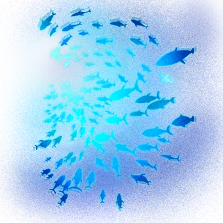 梦幻动物海洋生物鱼群,免抠元素