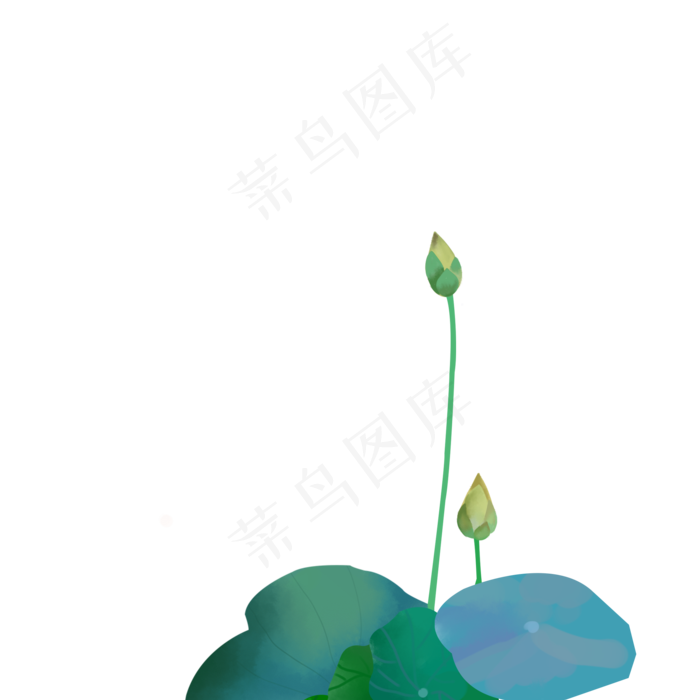 清新荷花手绘植物免抠(2000X2000(DPI:300))psd模版下载