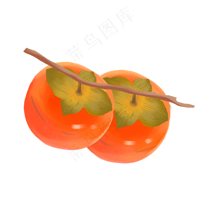 秋冬水果柿子(2000*2000px 300 dpi )ai矢量模版下载