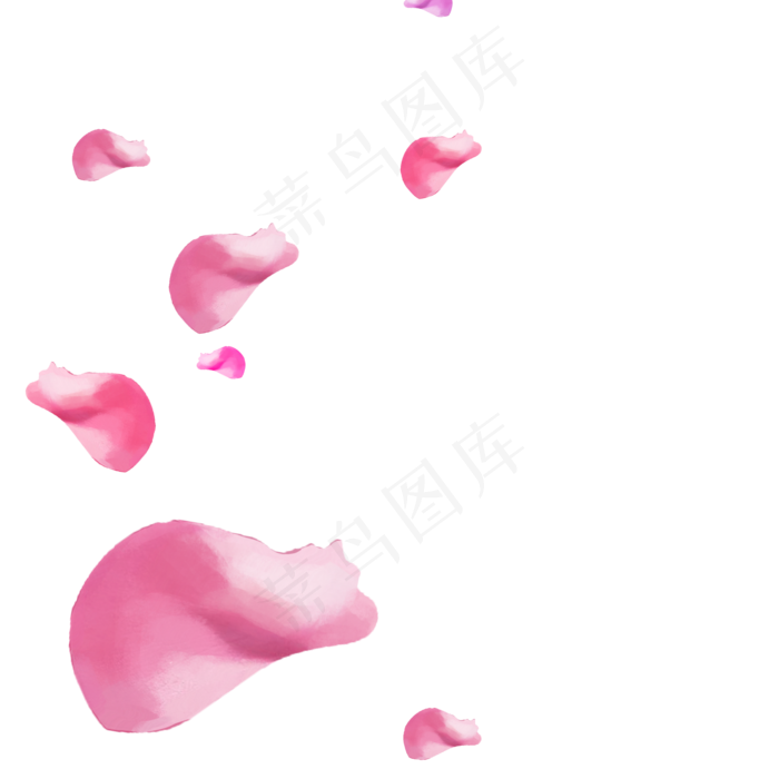 粉色玫瑰花瓣(2000X2000(DPI:300))psd模版下载