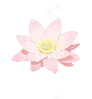 夏天湖水荷花素材