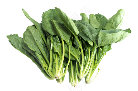 秋季菠菜,免抠元素