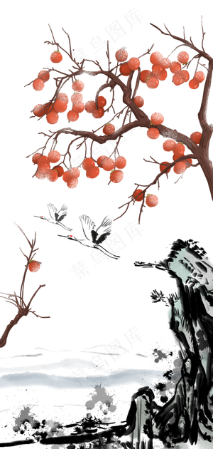 古典柿子树白色水墨中式传统装饰