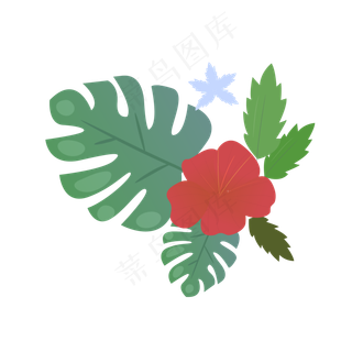 夏季夏天夏至花朵素材